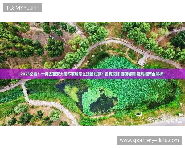 玩球返水怎么算避坑指南极速提现秘籍